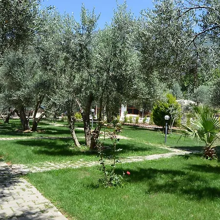 Doga Hotel Oludeniz