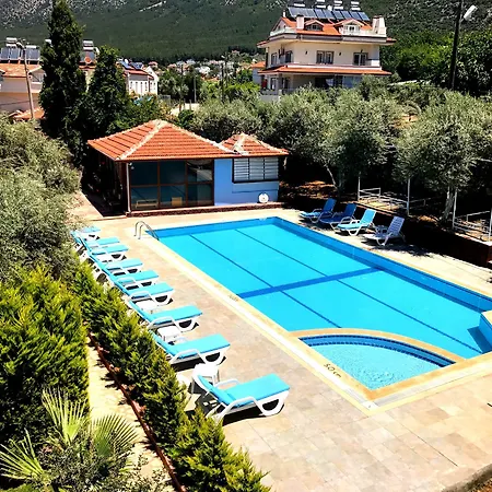 Doga Hotel 3*