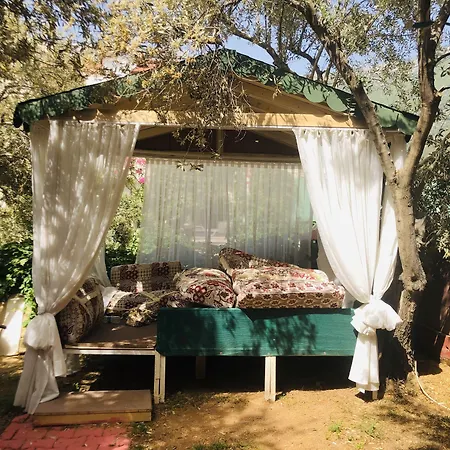 Doga Ολουντενίζ