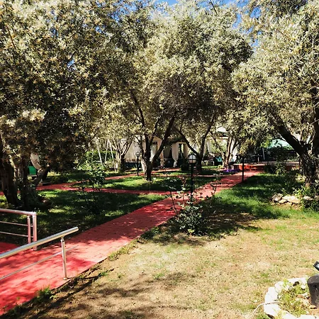 Doga Ολουντενίζ