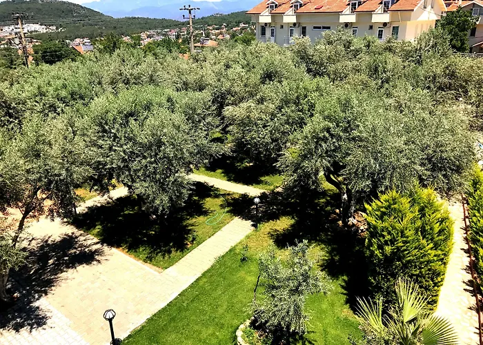 Doga Hotel 3*
