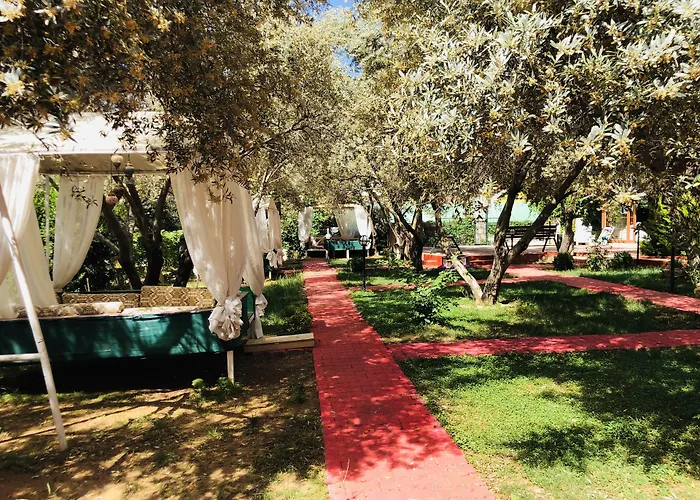 Doga أولدينيس