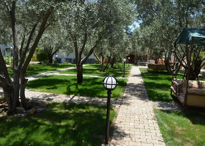 Hotel Doga 3*
