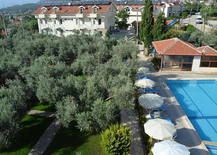 Doga أولدينيس