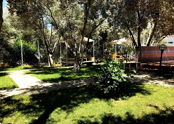 Hotel Doga 3*