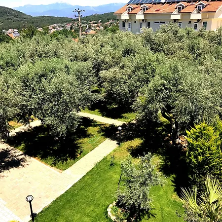 Doga Hotel 3*